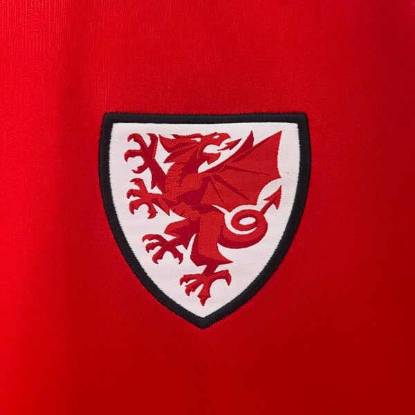 Wales 2024 Home Fan Jersey S-2XL