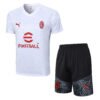 AC Milan 23/24 White Training Short-Sleeve Set - S-2XL