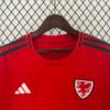 Wales 2024 Home Fan Jersey S-2XL