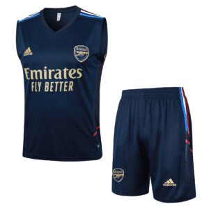 Arsenal 23/24 Royal Blue Training Vest Set - S-2XL