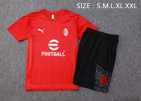 AC Milan 23/24 Red Training Short-Sleeve Set - S-2XL