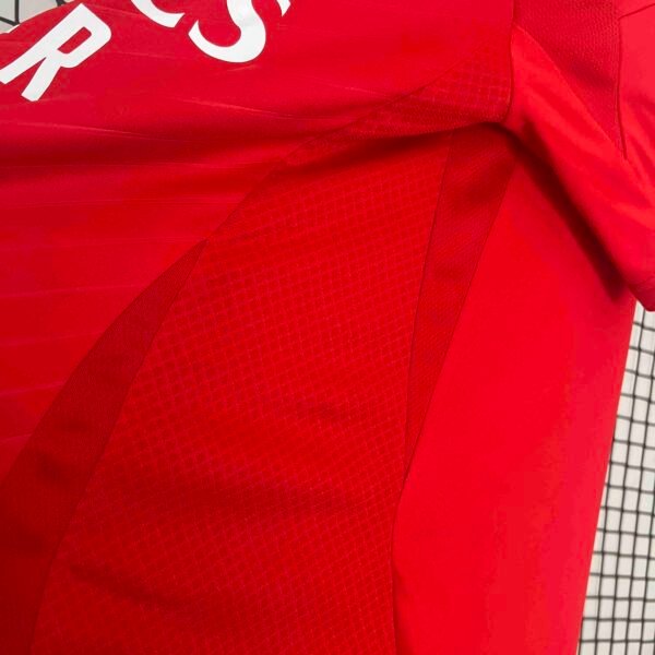 Benfica 24/25 Home Fan Version Jersey - S-2XL