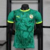 Senegal 2025 Away Player Jersey S-2XL