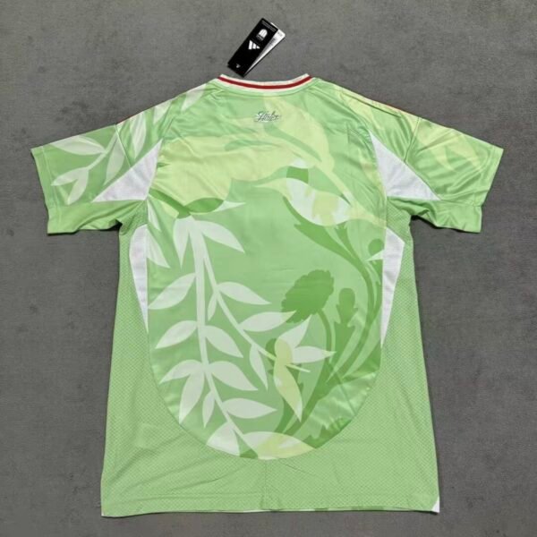 Italy 2025 Away Fan Jersey S-4XL