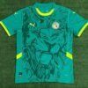 Senegal 2025 Away Fan Jersey S-2XL