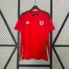 Wales 2024 Home Fan Jersey S-2XL