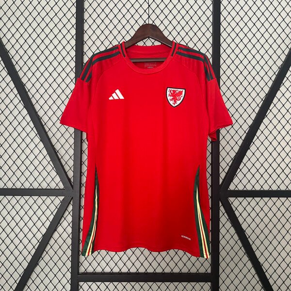 Wales 2024 Home Fan Jersey S-2XL