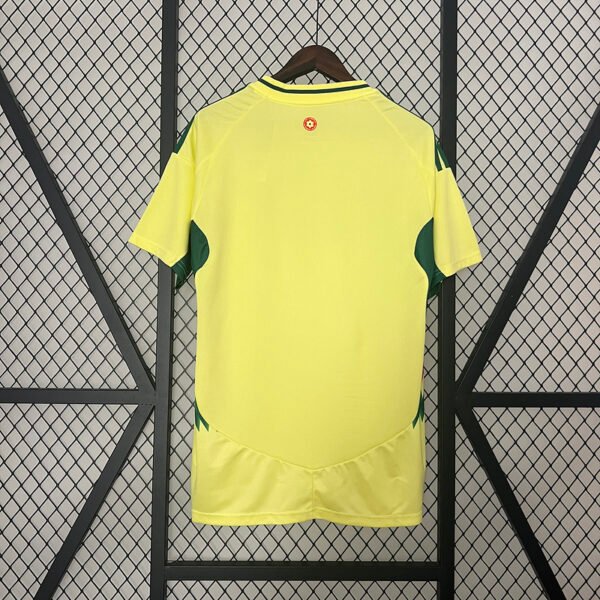 fba5d8dc Wales 2024 Away Fan Jersey S-2XL